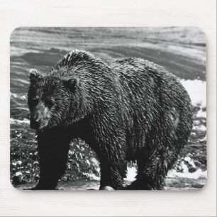 VS Alaska brown beer Hoesje-Mate iPhone Cas Muismat