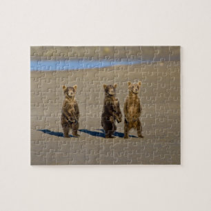 VS. Alaska. Bruine berenjongen aan de kust Legpuzzel