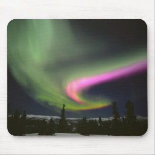 VS, Alaska, Chena Hot Springs. Aurora 2 Muismat