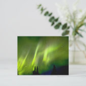 VS, Alaska, Chena Hot Springs. Aurora 3 Briefkaart (Staand voorkant)