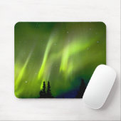 VS, Alaska, Chena Hot Springs. Aurora 3 Muismat (Met muis)