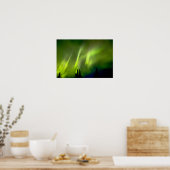VS, Alaska, Chena Hot Springs. Aurora 3 Poster (Keuken)