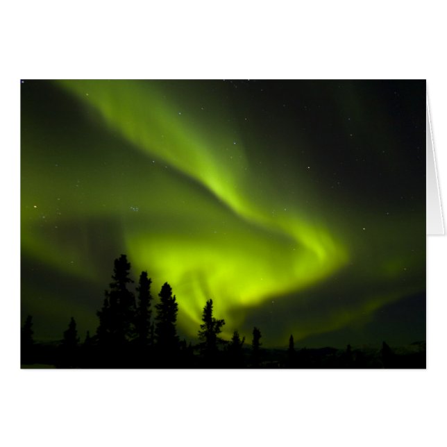 VS, Alaska, Chena Hot Springs. Aurora Borealis 2 (Voorkant Horizontaal)