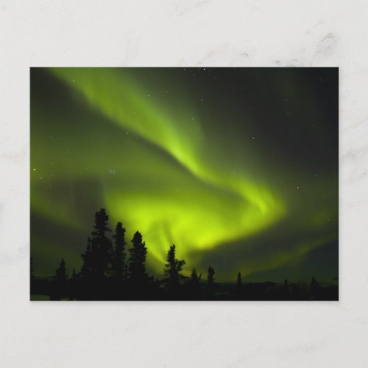 VS, Alaska, Chena Hot Springs. Aurora Borealis 2 Briefkaart (Voorkant)