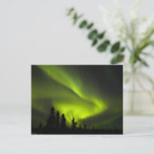 VS, Alaska, Chena Hot Springs. Aurora Borealis 2 Briefkaart (Staand voorkant)