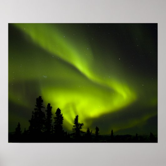 VS, Alaska, Chena Hot Springs. Aurora Borealis 2 Poster (Voorkant)