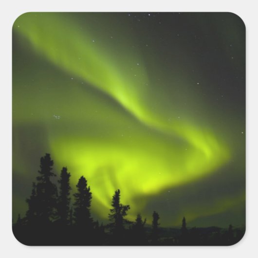 VS, Alaska, Chena Hot Springs. Aurora Borealis 2 Vierkante Sticker (Voorkant)