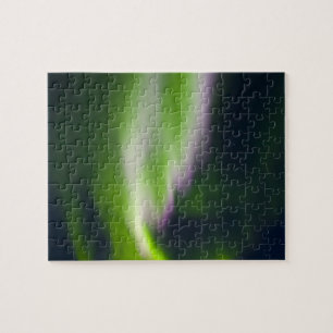 VS, Alaska, Chena Hot Springs. Aurora Borealis Legpuzzel