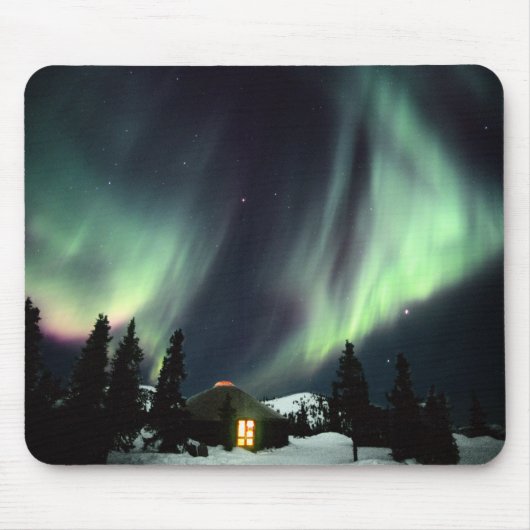 VS, Alaska, Chena Hot Springs. Aurora Muismat (Voorkant)