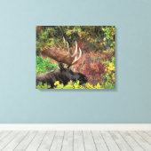 VS, Alaska, Denali National Park, Bull Moose Canvas Afdruk (Insitu (Houten vloer))