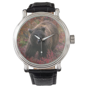 VS, Alaska, Denali National Park. Grizzlybeer Horloge
