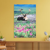 VS, Alaska, Denali National Park, Kariboe Canvas Afdruk (Insitu (Woonkamer))