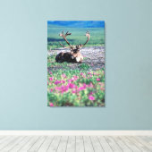VS, Alaska, Denali National Park, Kariboe Canvas Afdruk (Insitu (Houten vloer))