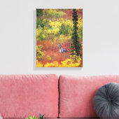 VS, Alaska, Denali National Park. Kariboe Canvas Afdruk (Insitu (Woonkamer))