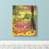 VS, Alaska, Denali National Park. Kariboe Canvas Afdruk (Insitu (Houten vloer))