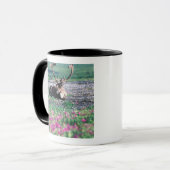 VS, Alaska, Denali National Park, Kariboe Mok (Voorkant links)
