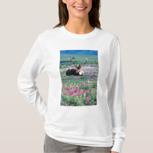 VS, Alaska, Denali National Park, Kariboe T-shirt