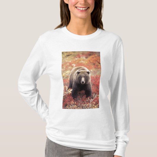 VS, Alaska, Denali NP, vrouw Grizzly Beer T-shirt (Voorkant)