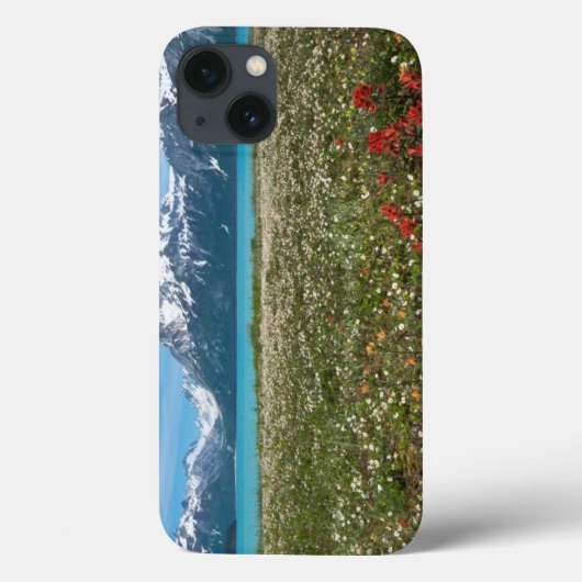 VS, Alaska, Glacier Bay National Park 2 Case-Mate iPhone Case (Achterkant)