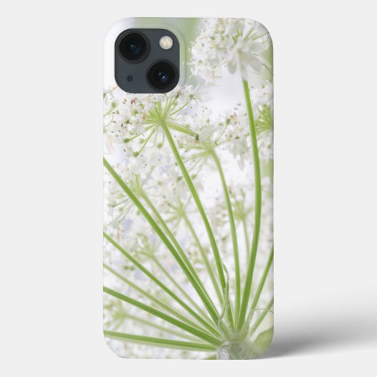 VS, Alaska, Glacier Bay National Park 3 Case-Mate iPhone Case (Achterkant)