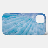 VS, Alaska, Glacier Bay National Park 4 Case-Mate iPhone Case (Achterkant (horizontaal))