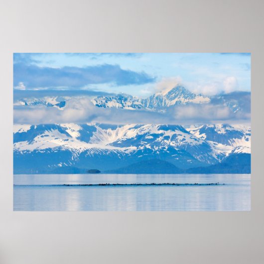 VS, Alaska, Glacier Bay National Park 6 Poster (Voorkant)