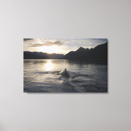 VS, Alaska, Glacier Bay National Park, Canvas Afdruk (Voorkant)