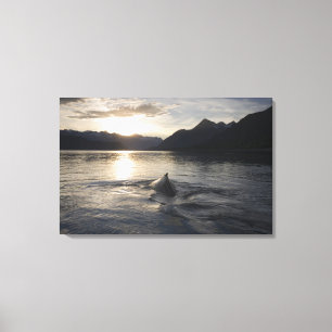 VS, Alaska, Glacier Bay National Park, Canvas Afdruk