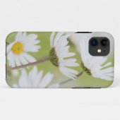 VS, Alaska, Glacier Bay National Park Case-Mate iPhone Case (Achterkant (horizontaal))