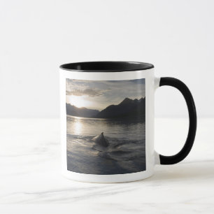 VS, Alaska, Glacier Bay National Park, Mok