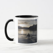 VS, Alaska, Glacier Bay National Park, Mok (Links)