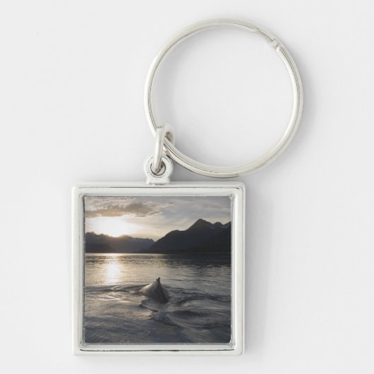 VS, Alaska, Glacier Bay National Park, Sleutelhanger (Voorkant)