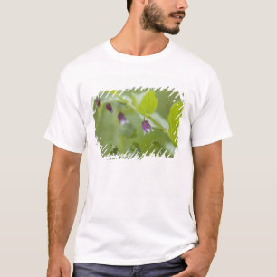 VS, Alaska, Glacier Bay National Park. T-shirt