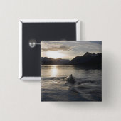 VS, Alaska, Glacier Bay National Park, Vierkante Button 5,1 Cm (Voorkant /achterkant)