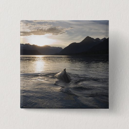 VS, Alaska, Glacier Bay National Park, Vierkante Button 5,1 Cm (Voorkant)