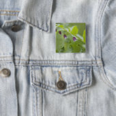 VS, Alaska, Glacier Bay National Park. Vierkante Button 5,1 Cm (In situ)