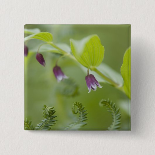 VS, Alaska, Glacier Bay National Park. Vierkante Button 5,1 Cm (Voorkant)