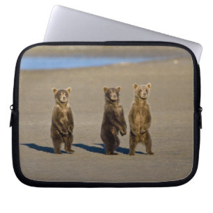 VS. Alaska. Jonge kustbruine beren Laptop Sleeve