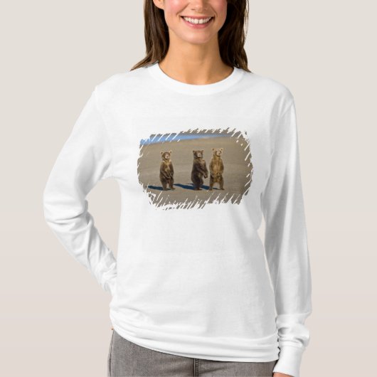 VS. Alaska. Jonge kustbruine beren T-shirt (Voorkant)