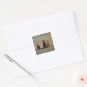 VS. Alaska. Jonge kustbruine beren Vierkante Sticker (Envelop)