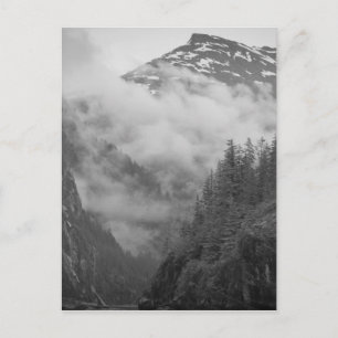 VS, Alaska, Juneau, Regenwoud bedekt fjorden in Briefkaart