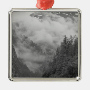 VS, Alaska, Juneau, Regenwoud bedekt fjorden in Metalen Ornament