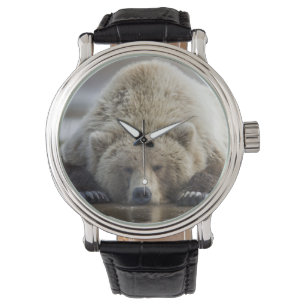 VS, Alaska, Katmai National Park, Bruine beer Horloge