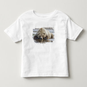 VS, Alaska, Katmai National Park, Bruine beer Kinder Shirts