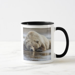 VS, Alaska, Katmai National Park, Bruine beer Mok