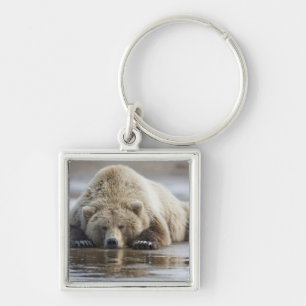 VS, Alaska, Katmai National Park, Bruine beer Sleutelhanger