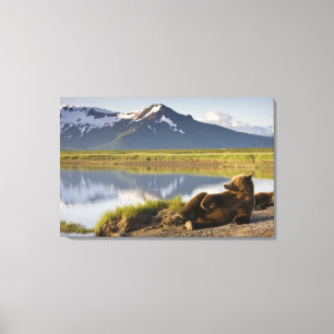 VS, Alaska, Katmai National Park, Bruine beren Canvas Afdruk