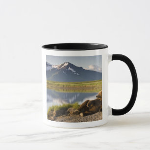 VS, Alaska, Katmai National Park, Bruine beren Mok