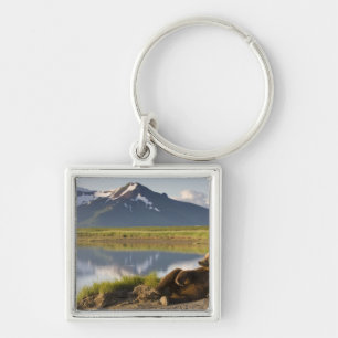 VS, Alaska, Katmai National Park, Bruine beren Sleutelhanger