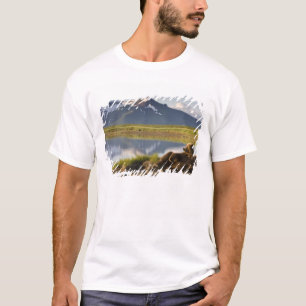 VS, Alaska, Katmai National Park, Bruine beren T-shirt